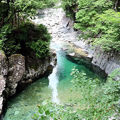 2496位のイメージ