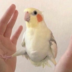 87位のイメージ