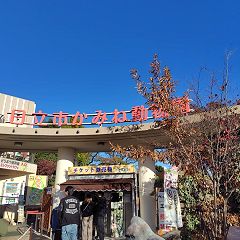 40位のイメージ