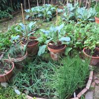 97位のイメージ