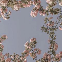 64位のイメージ