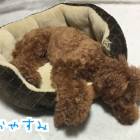 135位のイメージ