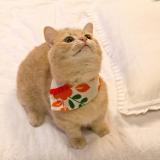 20760位のイメージ