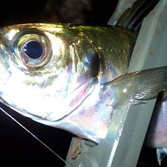 21位のイメージ