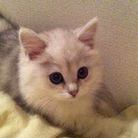 16位のイメージ