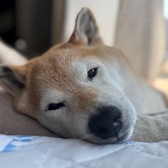 53位のイメージ