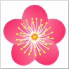 60位のイメージ