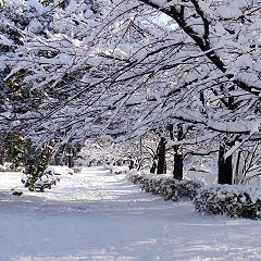 178位のイメージ