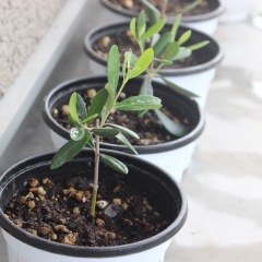 19位のイメージ