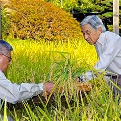 153位のイメージ