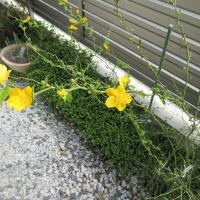 53位のイメージ