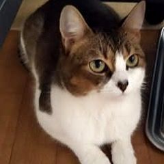 21位のイメージ