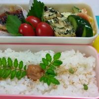 28位のイメージ