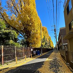 102位のイメージ