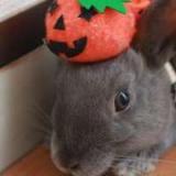 92位のイメージ