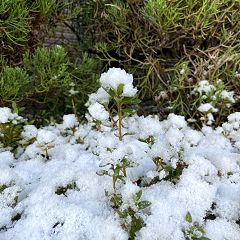 10位のイメージ