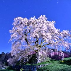 16位のイメージ