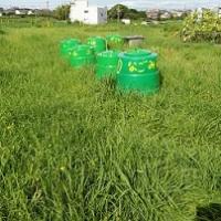 29位のイメージ