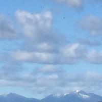 47位のイメージ