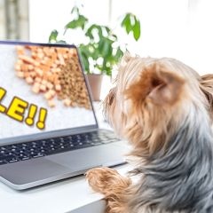 93位のイメージ