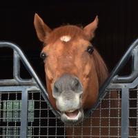 53位のイメージ