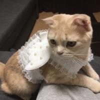 26位のイメージ