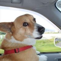 85位のイメージ