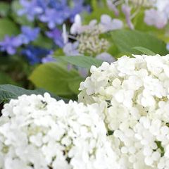 370位のイメージ