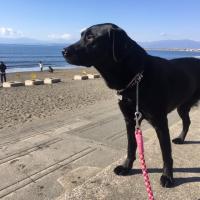 13位のイメージ