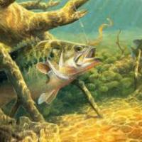 13位のイメージ