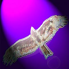 712位のイメージ