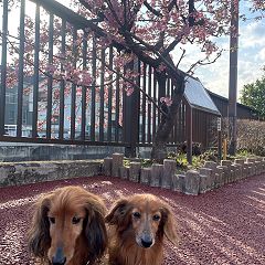 16位のイメージ