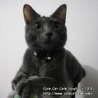 66位のイメージ