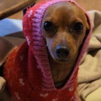 11位のイメージ