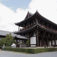 11位のイメージ