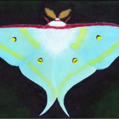 22位のイメージ