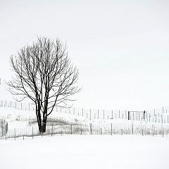 82位のイメージ