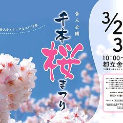 113位のイメージ