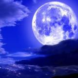 1233位のイメージ