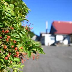 14位のイメージ