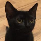 11位のイメージ