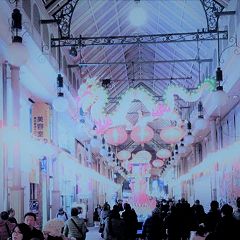 1583位のイメージ