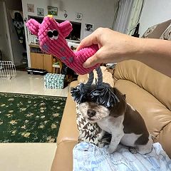 14位のイメージ