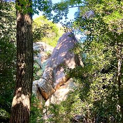 14位のイメージ