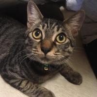 44位のイメージ