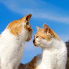 73位のイメージ