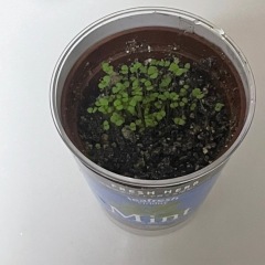 21位のイメージ