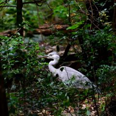 28位のイメージ