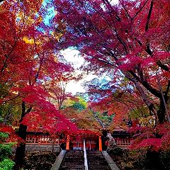 18位のイメージ