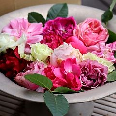 18位のイメージ